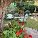 U Sant'agnellu Rogliano