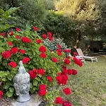 U Sant'agnellu