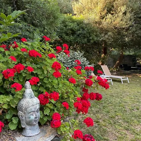 U Sant'agnellu